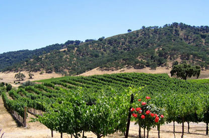 Gilroy local wineries from VisitGilroy.com